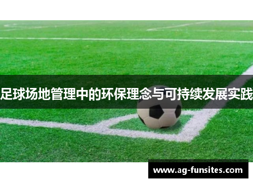 足球场地管理中的环保理念与可持续发展实践